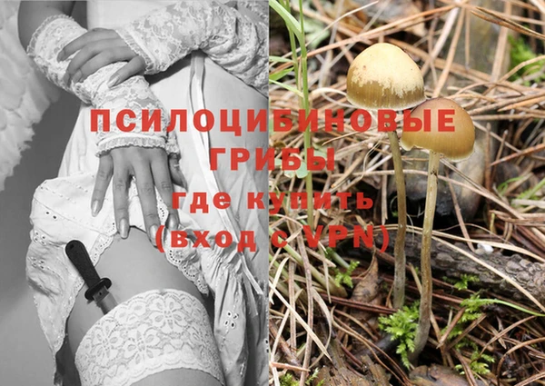 индика Белокуриха