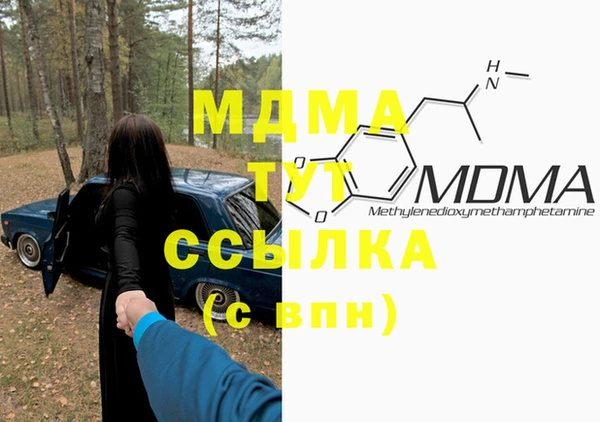 индика Белокуриха