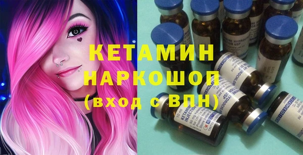 индика Белокуриха