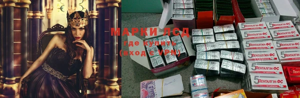 ГАЛЛЮЦИНОГЕННЫЕ ГРИБЫ Балабаново