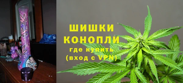 индика Белокуриха