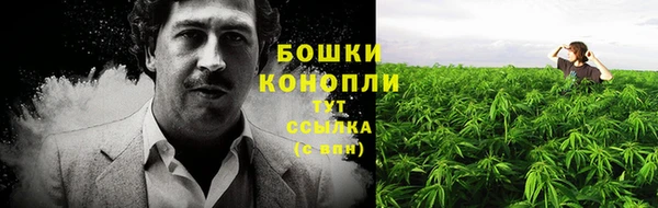 трава Белоозёрский