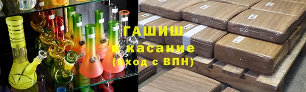 индика Белокуриха