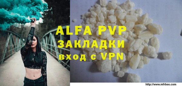 индика Белокуриха