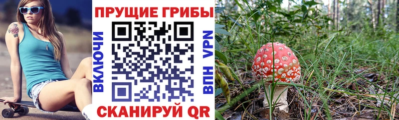 Псилоцибиновые грибы мухоморы  Купить  Валдай 